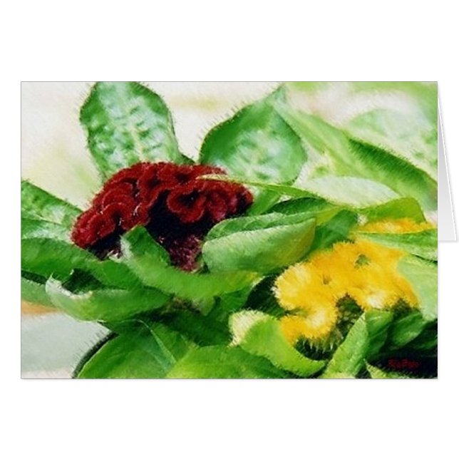 Cartão Flores Celosia Cockscomb (Frente Horizontal)
