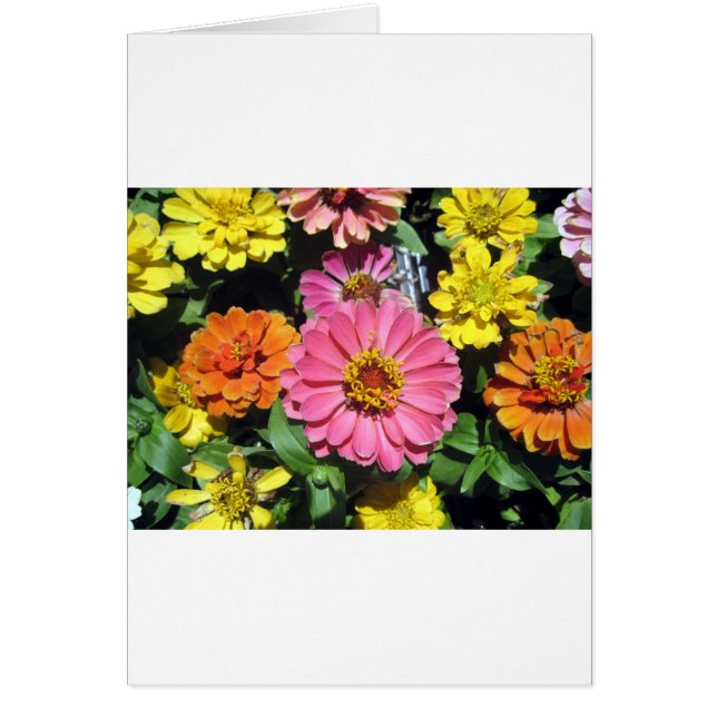 Cartão Flores Coloridas (Frente)