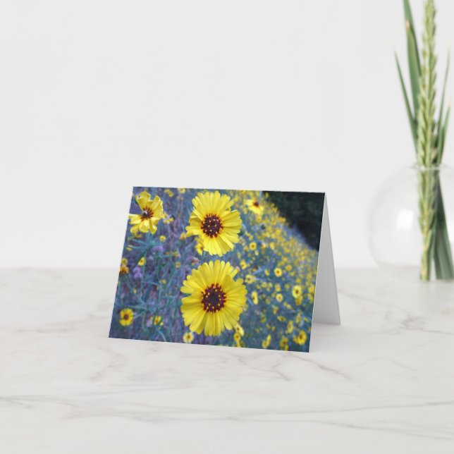 Cartão Flores Comuns Madia no Parque Nacional Sequoia (Frente)