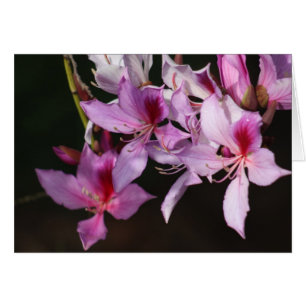 Cartão Flores cor-de-rosa