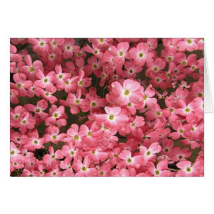 Cartão Flores cor-de-rosa do Dogwood