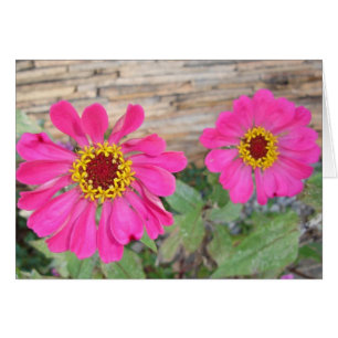 Cartão Flores cor-de-rosa dobro