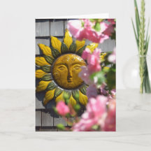 Flores cor-de-rosa e Sol - Vinha de Martha