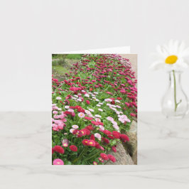Cartão Flores Cor-de-Rosa em Flor