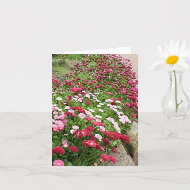 Cartão Flores Cor-de-Rosa em Flor (Planta pequena)