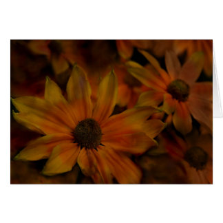 Cartão Flores da angra dos peixes