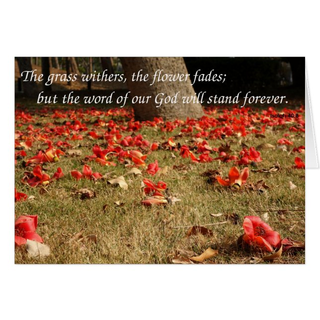 Cartão Flores da Árvore de Algodão da Seda Vermelha (Frente Horizontal)