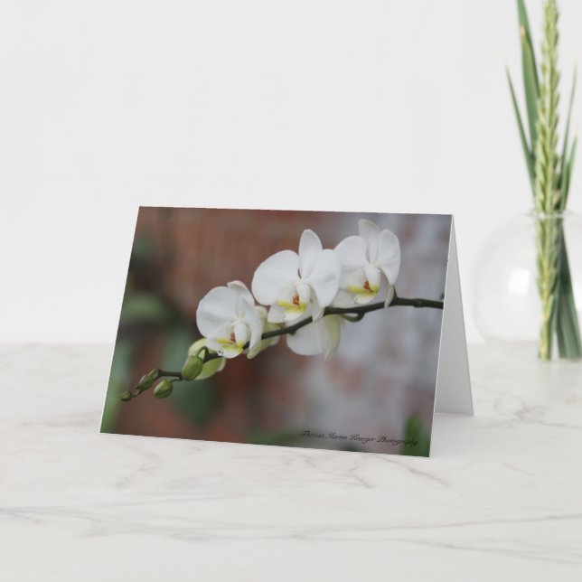 Cartão Flores da orquídea (Frente)
