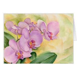 Cartão Flores da orquídea do Phalaenopsis - multi