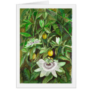 Cartão Flores da paixão