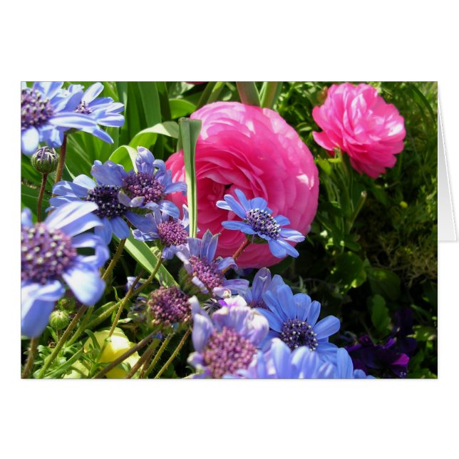 Cartão Flores da Primavera (Frente Horizontal)