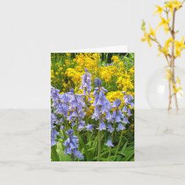 Cartão Flores da primavera campainhas e goivos foto