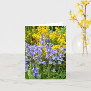 Cartão Flores da primavera campainhas e goivos foto