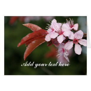 Cartão Flores de ameixa primavera