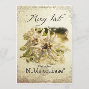 Cartão Flores de aniversário em 11 de maio "Edelweiss"