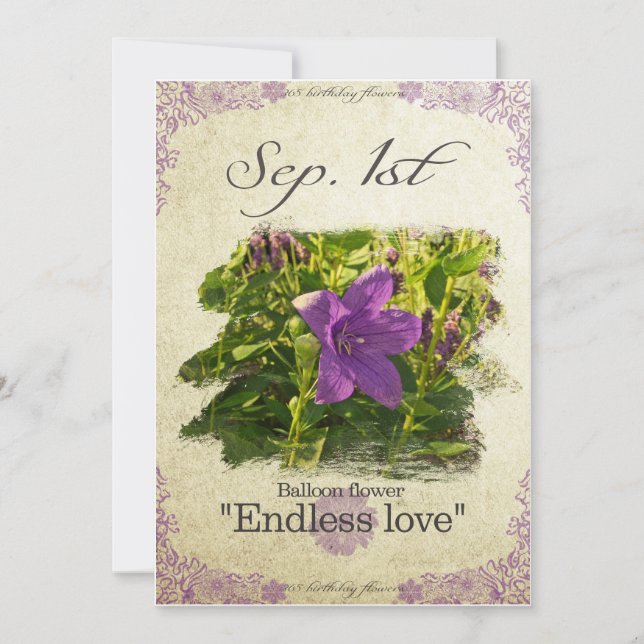Cartão Flores de aniversário em 1 de setembro "Flor de Ba (Frente)