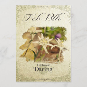 Cartão Flores de aniversário no 13 de fevereiro "Edelweis