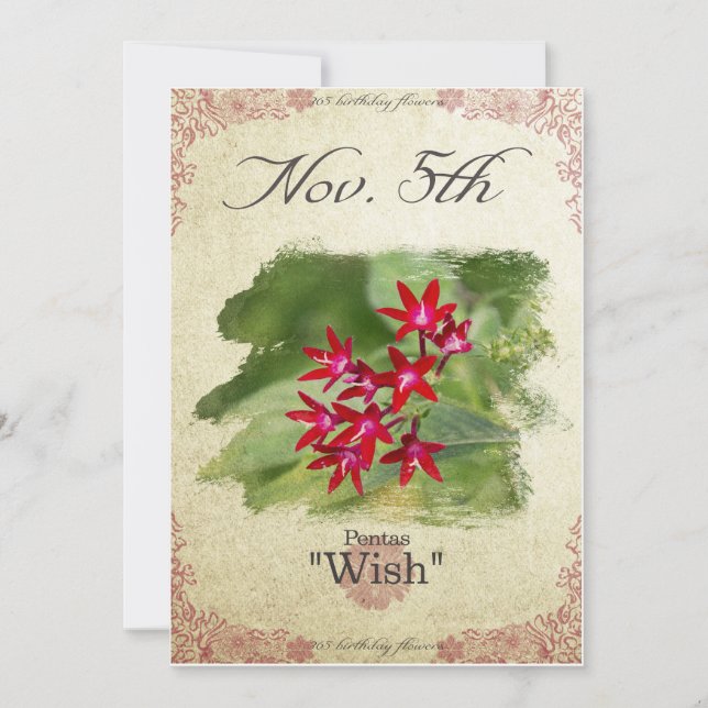 Cartão Flores de aniversário no 5 de novembro "Pentas" (Frente)