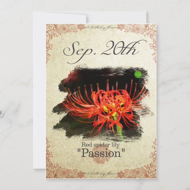 Cartão Flores de aniversário no Set. 20 "Lily de aranha V (Frente)
