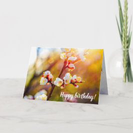 Cartão Flores De Apricot Japonesas No Sunset Laranja Quen
