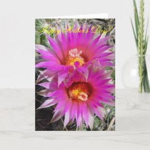 Cartão Flores de Cactus F5 Bola "Escobaria vivipara"