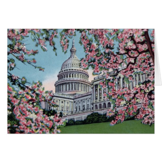Cartão Flores de cerejeira de Capitol Hill do Washington (Frente Horizontal)