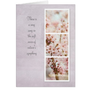 Cartão Flores de cerejeira do romance do primavera