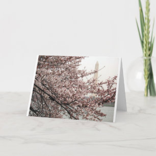 Cartão Flores de Cerejeira Washington DC