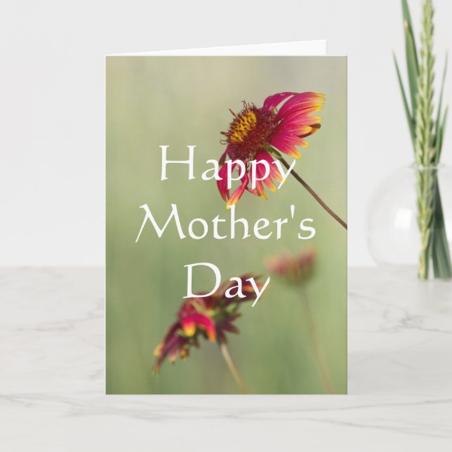 Cartão Flores de Cone começando a florescer, Feliz da Mãe (Frente)