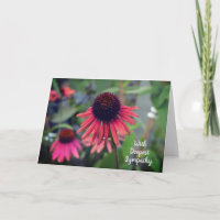 Flores de Cone Vermelho Echinacea com simpatia