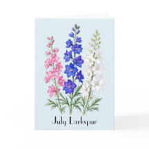 Flores de Delphinium de Julho Saudação