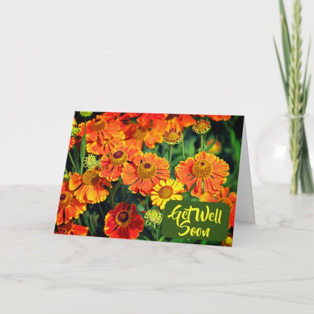 Cartão Flores De Espirézio Laranja Começam Logo (Frente)