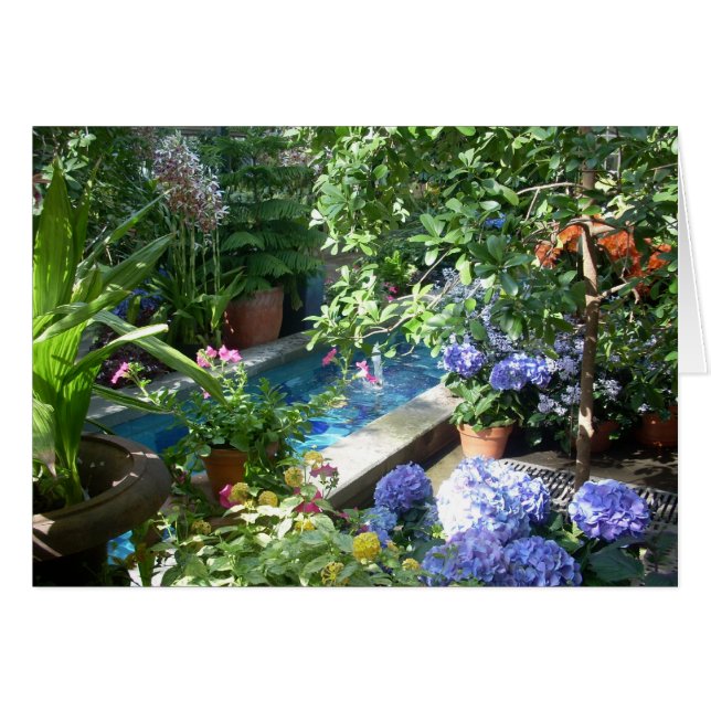 Cartão Flores de Estufa Três (Frente Horizontal)