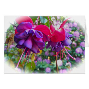 Cartão Flores de Fushia Roxo Vermelho
