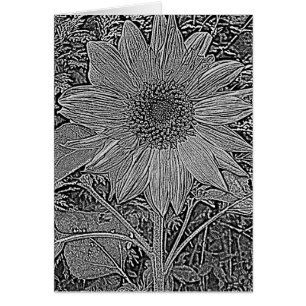 Cartão Flores de girassol preto e branco modernos