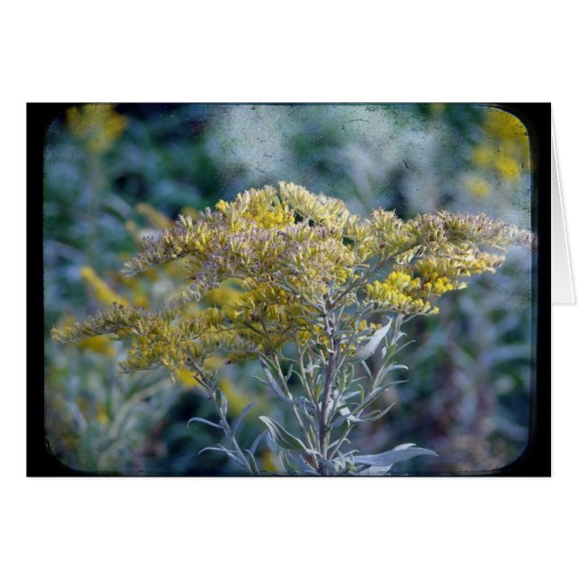 Cartão Flores de Horário de Outono (Frente Horizontal)