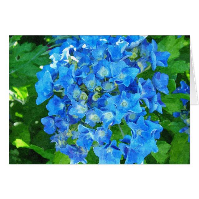 Cartão Flores de hydrangea azuis. Fotografia floral. (Frente Horizontal)