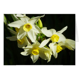 Cartão Flores de inverno