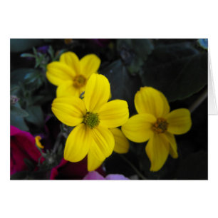 Cartão flores de jardim amarelo