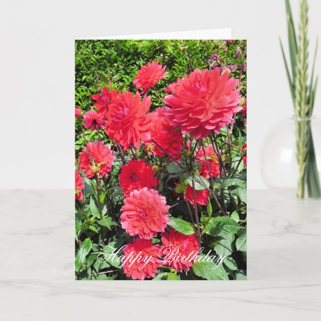 CARTÃO FLORES DE JARDIM DO PAÍS (Frente)