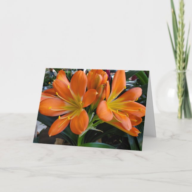 Cartão Flores de laranja (Frente)
