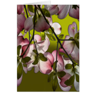 Cartão Flores de Lenha Rosa Grandes - Verde