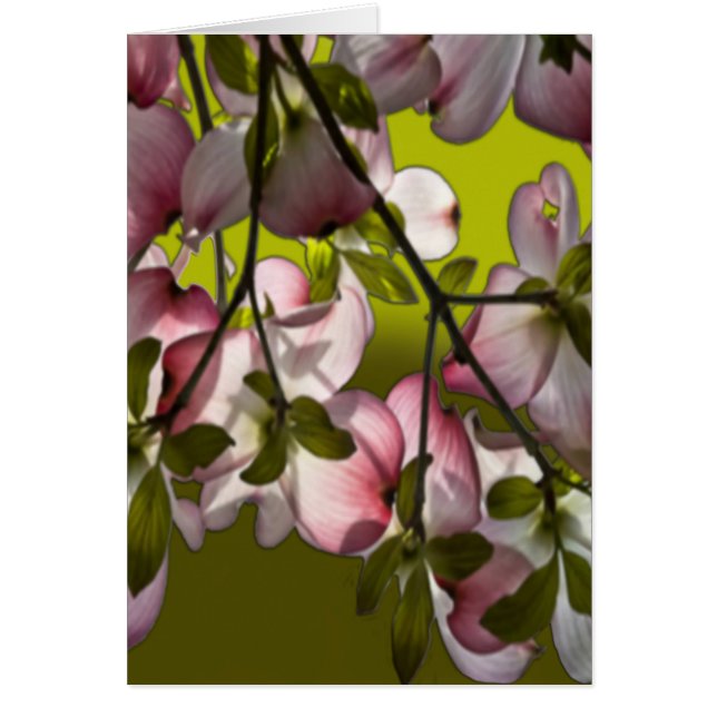 Cartão Flores de Lenha Rosa Grandes - Verde (Frente)
