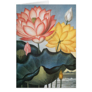 Cartão Flores de Lótus Vintage, O Feijão Egípcio Sagrado