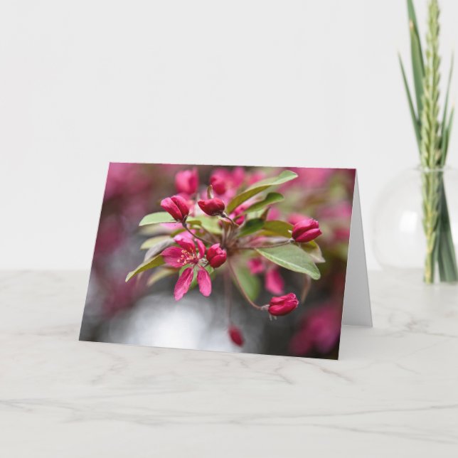 Cartão Flores de Maçã de Caranguejo Vermelho (Frente)