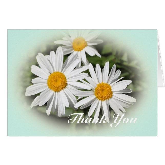 Cartão flores de margarida branca silvestre obrigado você (Frente Horizontal)