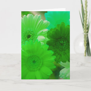 Cartão Flores de margarida verdes Nota de fotos ou Cartõe
