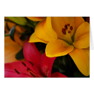 Cartão Flores de mercado II