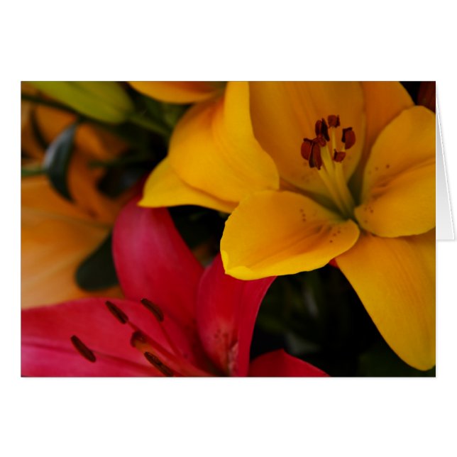 Cartão Flores de mercado II (Frente Horizontal)