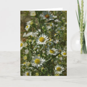 Cartão Flores de outono Todas as Ocasiões